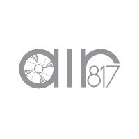 Air817