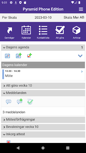 Pyramid Nova Office Screenshot 1