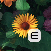 Mindful Garden