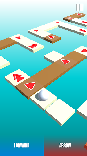Maze Ball Arcade Screenshot 1
