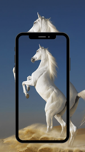 Horse wallpaper HD Screenshot 3