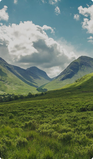 Field Wallpaper Screenshot 2