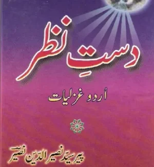 Pir Naseeruddin Naseer Books Screenshot 2