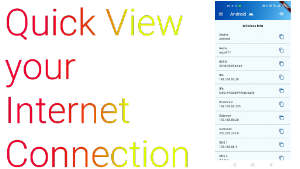 Network Info App Screenshot 0