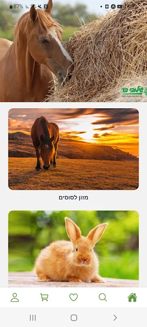 שילובי בר Screenshot 0
