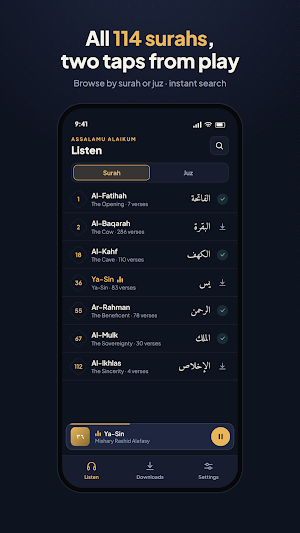 Quran Audio - Listen Offline Screenshot 1