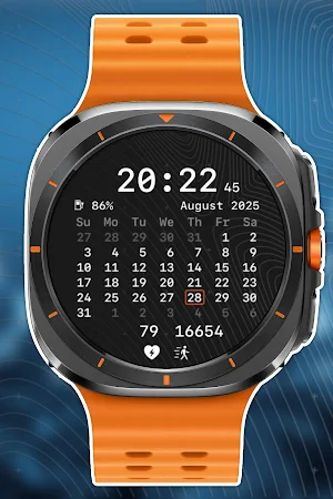 nbWatch Calendar Pro WFF Screenshot 0