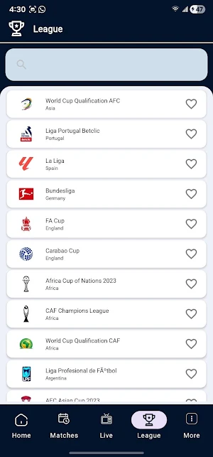 Ottclub - Online Football TV Screenshot 2
