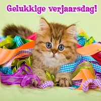 Gelukkige verjaarsdag Beelde