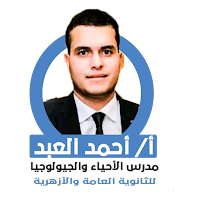 ahmed elabd