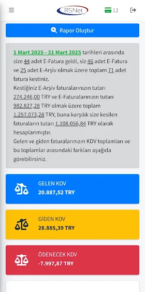 RSNet E-Fatura Screenshot 3