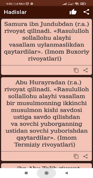 Hadislar Screenshot 3
