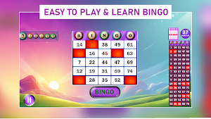 Bingo Boom Star Treasure Screenshot 1