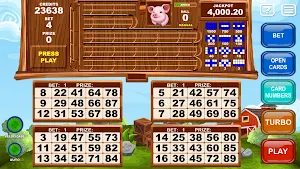 Video Bingo Little Farm Screenshot 2