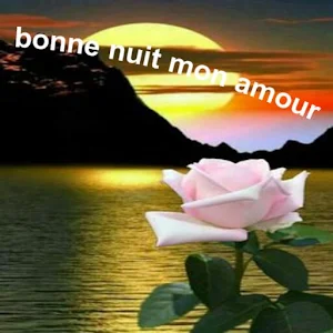 bonne nuit mon amour Screenshot 1