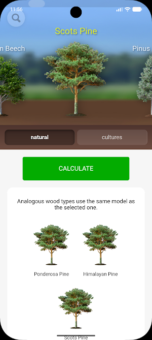 ForestCalc Screenshot 0