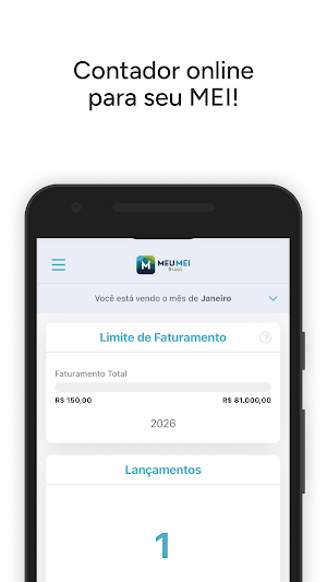 Meu MEI Brasil Screenshot 0