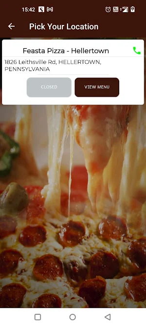 Feasta Pizza Hellertown Screenshot 2