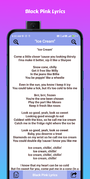 Black Pink Lyrics Screenshot 3