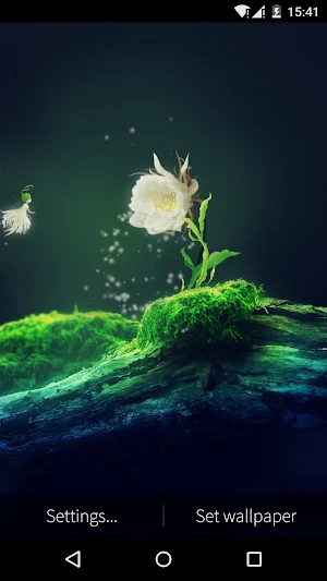 Cactus Flower Live Wallpaper Screenshot 2