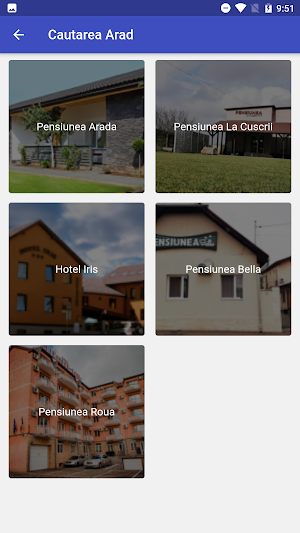 Hotel Romania Screenshot 3