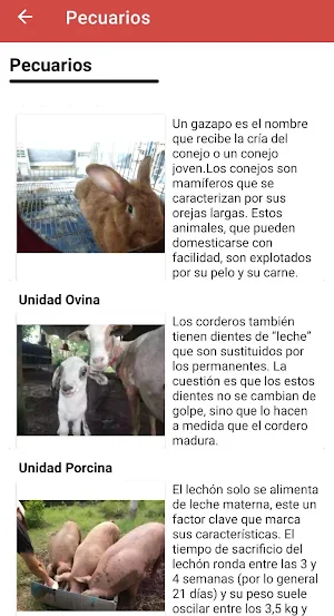 Granja Unillanos Screenshot 2