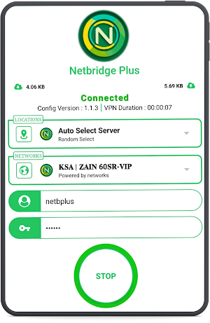 Netbridge Plus VPN Screenshot 3