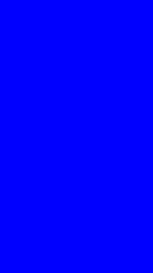 Phone Screen Test Screenshot 1