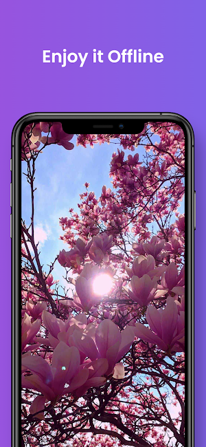 Beautiful Spring HD Wallpaper Screenshot 2