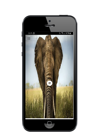 Elephant Sound Screenshot 0
