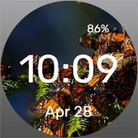 Butterfly Family - Watch Face