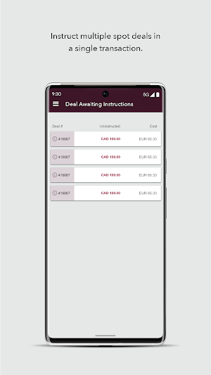 Corpay Cross-Border Mobile Screenshot 2