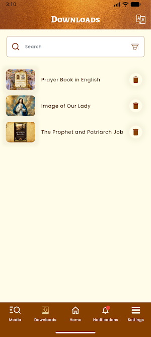 Palmariana Screenshot 2