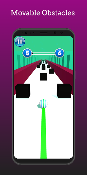 Rolling Balls The Premium Game Screenshot 3