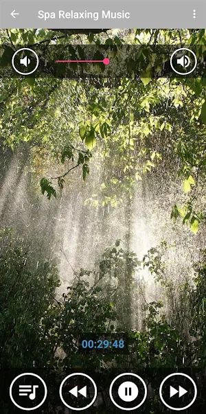 Relaxing Spa Nature Music Screenshot 0