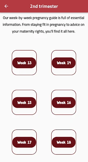 Tips for pregnancy calculation Screenshot 3