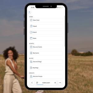 Vialmi Screenshot 3
