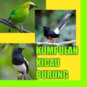 Suara Kicau Burung Lengkap Screenshot 2