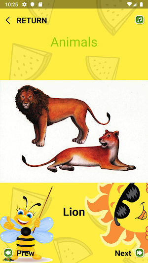 Primary School Education & Flashcard English Screenshot 2