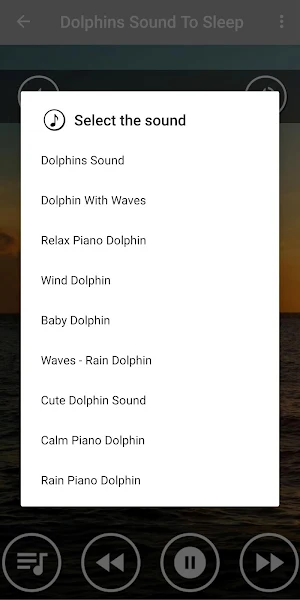Soothing Dolphin Sounds for Stress Relief Screenshot 1