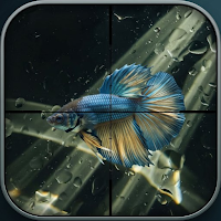 Lookglass