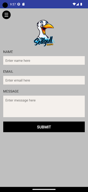 The Seagull Radio Screenshot 3