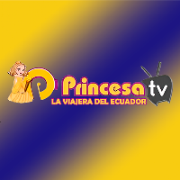 La Viajera Princesa Stéreo