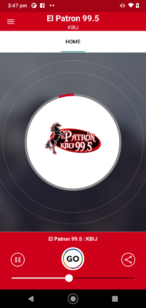 El Patron 99.5 Screenshot 0