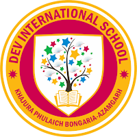 Dev International School