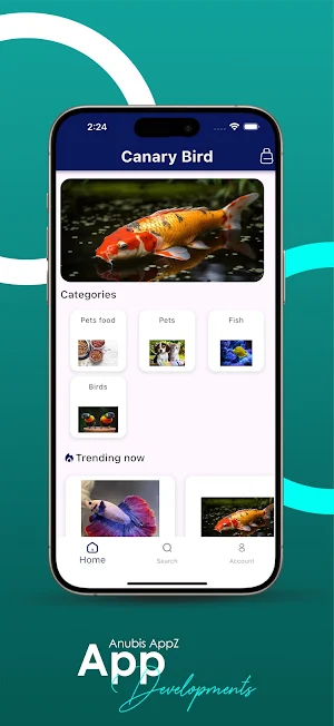 Canary Bird Screenshot 1