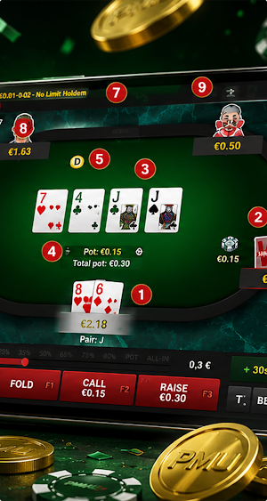 PMU Screenshot 2