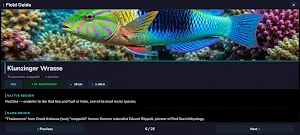 Appquarium - Living Aquarium Screenshot 2