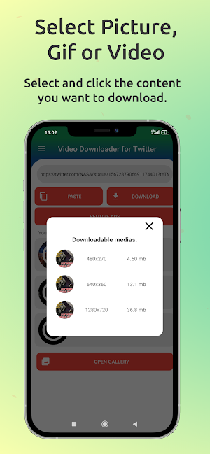 Twitter Video Downloader Screenshot 0