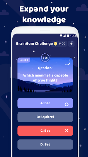 BrainGemChallenge Screenshot 2